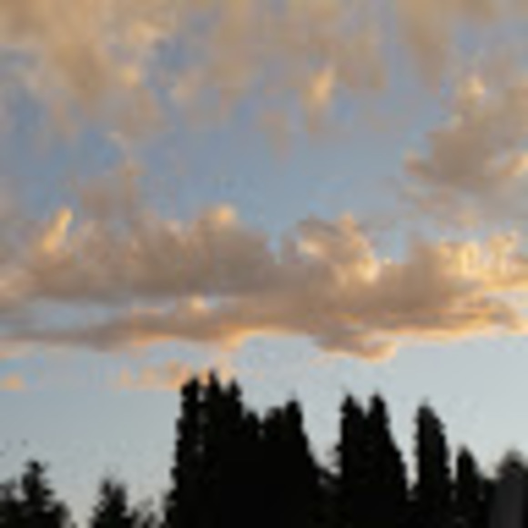 Meet your Posher, Zoe - Picture 1 of 1